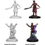  Dungeons and Dragons: Nolzur's Marvelous Miniatures - Male Tiefling Warlock Tabletop spel 2 stuks