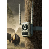 Reolink S130, 4K/8MP 4G LTE wildcamera met Live view en Starlight nachtzicht 