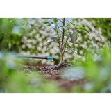 GARDENA Einddruppelaar 2 l/u druppelaar Turquoise, 25 stuks