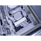 KLEVV 32 GB DDR5-6000 (2x 16 GB) Kit werkgeheugen Wit, KD5AGUA80-60A300J, CRAS V RGB, XMP 3.0, EXPO