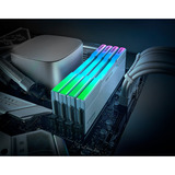 KLEVV CRAS V RGB 32 GB DDR5-6000 (2x 16 GB) werkgeheugen Wit, KD5AGUA80-60A300J, XMP, EXPO
