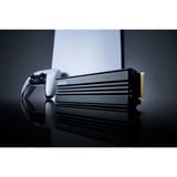 Lexar NM790 met heatsink M.2 2280 PCIe Gen 4x4 NVMe, 1 TB SSD M.2 2280, PCIe Gen 4×4, NVMe 1.4