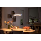 Philips Hue Being hanglamp ledverlichting Zwart