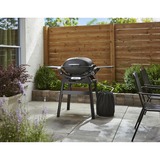 Weber Q 2200N gasbarbecue met stand (2025) Zwart