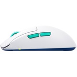 CHERRY  gaming muis Wit/turquoise