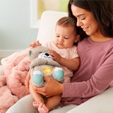 Fisher-Price Bedtijd Otter Pluchenspeelgoed 