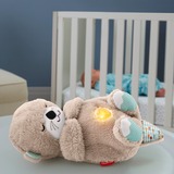 Fisher-Price Bedtijd Otter Pluchenspeelgoed 