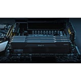 KLEVV 64 GB DDR5-6000 (2x 32 GB) Kit werkgeheugen Zwart, KD5BGUA80-60A300H, BOLT V, XMP 3.0, EXPO