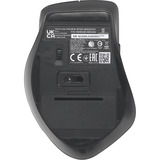 ASUS WT425 Wireless Mouse Grijs, 1000 - 1600 dpi, 2,4 GHz