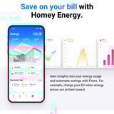 Athom Homey Pro + Energy Dongle basisstation Zwart