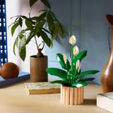 LEGO The Botanical Collection - Lepelplant Constructiespeelgoed 11504