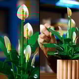 LEGO The Botanical Collection - Lepelplant Constructiespeelgoed 11504