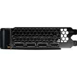 Palit GeForce RTX 5050 Dual 8GB grafische kaart DLSS 4, 3x DisplayPort, 1x HDMI 2.1
