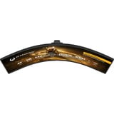 iiyama G-Master Gold Phoenix GCB4986DQSNP-B1 49" UltraWide gaming monitor Zwart, 1x DisplayPort, 2x HDMI, 3x USB-C, 2x USB-A, 240 Hz