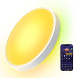 Govee RGBICWW Smart Ceiling Light Pro verlichting Wit, 15 inch, 2,4GHz-wifi + Bluetooth