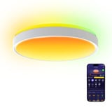 Govee RGBICWW Smart Ceiling Light Pro verlichting Wit, 15 inch, 2,4GHz-wifi + Bluetooth