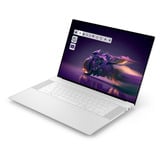 Dell 16 Premium DA16250 (0TT85) 16.3"  laptop Platina | Ultra 9 285H | RTX 5060 | 32 GB | 1 TB SSD | Touch