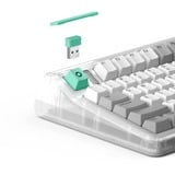 Iqunix OG80 Wormhole Wireless Mechanical Keyboard Grijs, US lay-out (QWERTY), Cherry MX Brown, 80% (TKL)	, RGB leds, Hot-swappable, PBT, 2.4GHz | Bluetooth 5.1 | USB-C