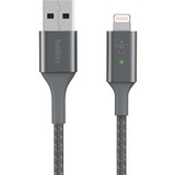 Belkin Boost Charge Lightning/ USB-A kabel met slimme led Grijs, 1,2 meter, Dubbel gevlochten nylon, CAA007bt04GR