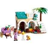 LEGO Disney - Asha in de stad Rosas Constructiespeelgoed 43223