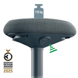 Leitz Ergo Wiebel Zitkruk met Gasveer (47 - 64 cm) stoel Donkergrijs