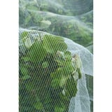 Nature Anti-insectengaas insectenhor Wit/transparant, 5.2 x 5 m