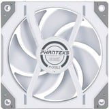 Phanteks D30-120 PWM Regular RGB case fan Wit, 120 x 120 x 30 mm, 3 stuks, 4-pins PWM fan-connector