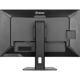 iiyama ProLite XUB3297QSNP-B1 32" monitor Zwart, 1x HDMI-in, 1x DisplayPort, USB-A, USB-C, LAN