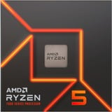 AMD Ryzen 5 7600X, 4,7 GHz (5,3 GHz Turbo Boost) socket AM5 processor Unlocked, Boxed