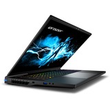Erazer Beast X40 MD62613 17" gaming laptop Zwart | i9-14900HX | RTX 4090 | 32 GB | 2x 1 TB SSD