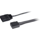 Sharkoon SHARK Disc PWM RGB case fan Transparant, 120 x 120 x 25 mm