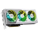 ASRock Radeon RX 9060 XT Steel Legend OC 16GB grafische kaart 2x DisplayPort, 1x HDMI