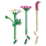 LEGO Botanicals - Cosmeabloemen Constructiespeelgoed 11514
