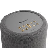 Audio Pro A10 MkII W luidspreker Donkergrijs, Bluetooth 5.0, WiFi