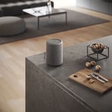 Audio Pro A10 MkII W luidspreker Donkergrijs, Bluetooth 5.0, WiFi