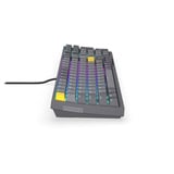 ENDORFY Celeris 1800 RGB mechanisch gaming toetsenbord Grijs, US lay-out (QWERTY), ENDORFY Yellow by Gateron, 100%, ARGB, PBT keycaps, Hot-swap, Bluetooth / USB-C / 2.4 GHz