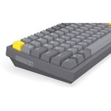 ENDORFY Celeris 1800 RGB mechanisch gaming toetsenbord Grijs, US lay-out (QWERTY), ENDORFY Yellow by Gateron, 100%, ARGB, PBT keycaps, Hot-swap, Bluetooth / USB-C / 2.4 GHz