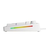 Glorious GMMK 3 100% Prebuilt Wired White RGB mechanisch gaming toetsenbord Wit, US lay-out (QWERTY), Glorious Fox, 100%, RGB, GPBT-doubleshot keycaps, Knob
