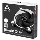 Arctic BioniX P120 case fan Zwart/wit, 4-pins PWM fan-connector