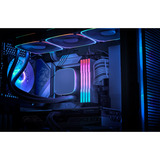 KLEVV 32 GB DDR5-6000 (2x 16 GB) Kit werkgeheugen Wit, KD5AGU880-60A300J, CRAS V RGB, XMP 3.0, EXPO