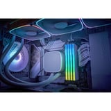 KLEVV 32 GB DDR5-6000 (2x 16 GB) Kit werkgeheugen Wit, KD5AGU880-60A300J, CRAS V RGB, XMP 3.0, EXPO