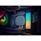 KLEVV CRAS V RGB 32 GB DDR5-6000 (2x 16 GB) werkgeheugen Wit, KD5AGU880-60A300J, XMP, EXPO