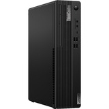 Lenovo ThinkCentre M70s Gen 4 (12DT000HMH) pc-systeem Zwart | i5-13400 | UHD Graphics 730 | 8 GB | 256 GB SSD