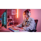 Philips Evnia 32M2N8900/00 31.5" 4K Ultra HD gaming monitor Wit, 1x DisplayPort, 2x HDMI, 2x USB-A, 240 Hz
