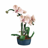 Sluban PLEYERID - Witte Orchidee Constructiespeelgoed 