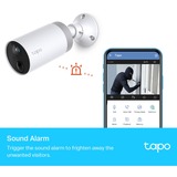 TP-Link Tapo C400S2 beveiligingscamera Wit