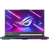 ASUS ROG Strix G17 G713PI-HX130W 17.3"  gaming laptop Grijs | R9 7940HX | RTX 4070 | 16 GB | 1 TB SSD