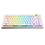 Glorious Aura V3 RGB Keycaps Wit, Pudding-style keycaps, Double Shot PBT, 130 stuks
