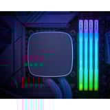 KLEVV 64 GB DDR5-6000 (2x 32 GB) Kit werkgeheugen Wit, KD5BGUA80-60A300J, CRAS V RGB, XMP 3.0, EXPO