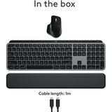 Logitech MX Keys S Combo for Mac draadloze desktopset Grijs, US-International lay-out (QWERTY), 100%, Bluetooth Low Energy